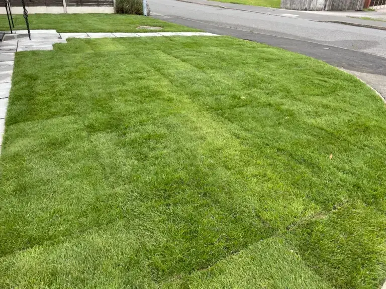 Fresh turf installation in Lincoln by landscapers in Lincoln featuring newly laid green grass with precise edges, clean paving lines and a modern residential street background for a neat front garden finish