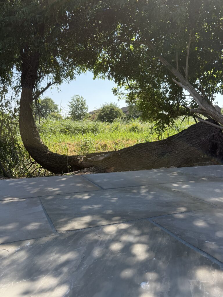 Indian sandstone patio installed in a riverside garden in Lincoln, creating a modern outdoor seating area beneath mature trees.