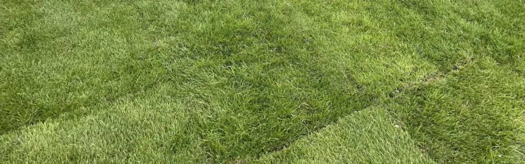 Real and Artificial Grass Installation Lincoln | Natural and Artificial Turf