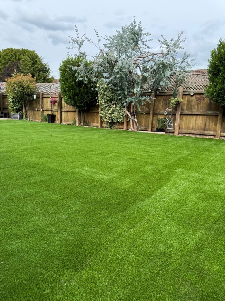 Artificial turf laid flush to buff paving in a Lincolnshire garden with mature planted borders