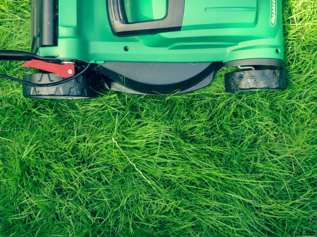 Green electric lawn mower cutting fresh, vibrant grass during routine garden maintenance, showing healthy and even lawn care. Captured by Reshape Landscaping in Lincoln, Lincolnshire.
